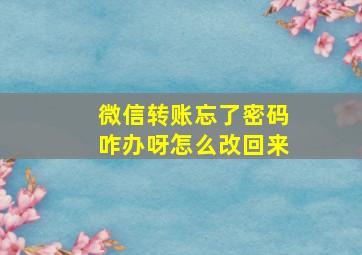 微信转账忘了密码咋办呀怎么改回来