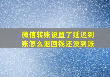 微信转账设置了延迟到账怎么退回钱还没到账