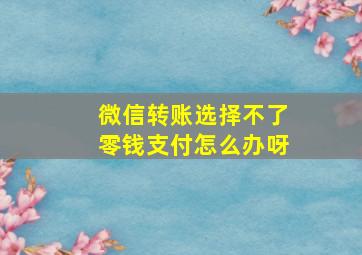 微信转账选择不了零钱支付怎么办呀