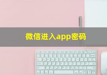 微信进入app密码