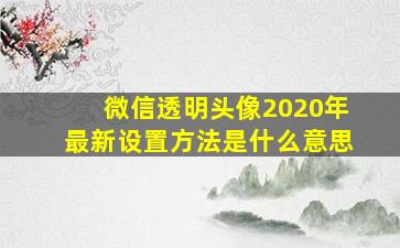 微信透明头像2020年最新设置方法是什么意思