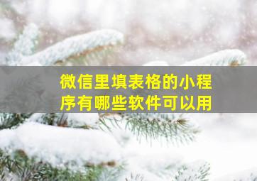 微信里填表格的小程序有哪些软件可以用