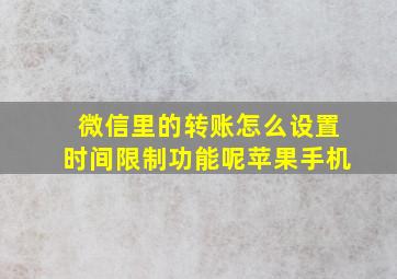 微信里的转账怎么设置时间限制功能呢苹果手机