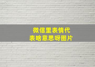 微信里表情代表啥意思呀图片