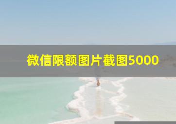 微信限额图片截图5000