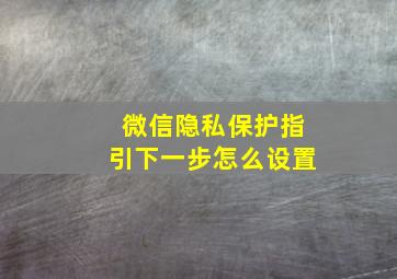 微信隐私保护指引下一步怎么设置