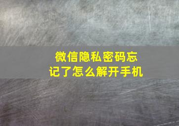 微信隐私密码忘记了怎么解开手机