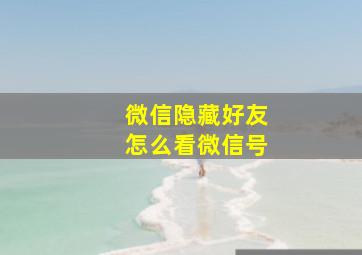 微信隐藏好友怎么看微信号