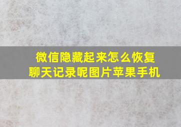 微信隐藏起来怎么恢复聊天记录呢图片苹果手机