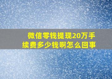 微信零钱提现20万手续费多少钱啊怎么回事