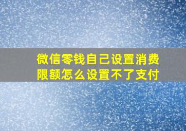 微信零钱自己设置消费限额怎么设置不了支付