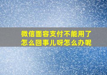 微信面容支付不能用了怎么回事儿呀怎么办呢