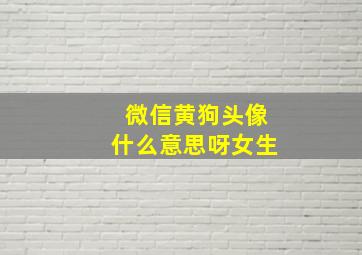 微信黄狗头像什么意思呀女生