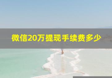 微信20万提现手续费多少