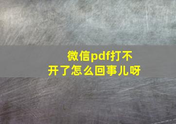 微信pdf打不开了怎么回事儿呀