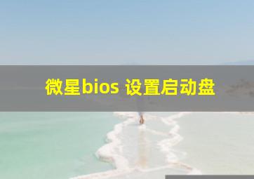 微星bios 设置启动盘