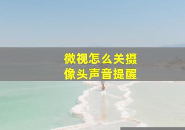 微视怎么关摄像头声音提醒