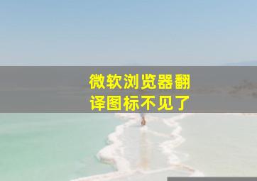 微软浏览器翻译图标不见了