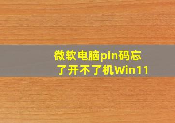 微软电脑pin码忘了开不了机Win11