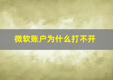 微软账户为什么打不开