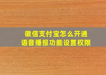 徽信支付宝怎么开通语音播报功能设置权限