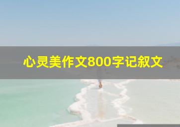 心灵美作文800字记叙文