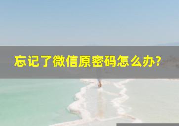 忘记了微信原密码怎么办?