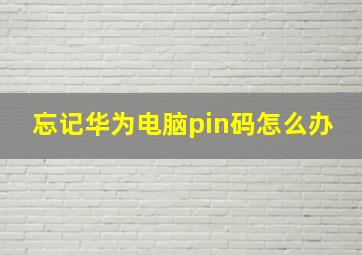 忘记华为电脑pin码怎么办