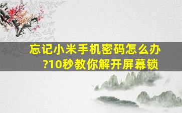 忘记小米手机密码怎么办?10秒教你解开屏幕锁