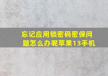 忘记应用锁密码密保问题怎么办呢苹果13手机