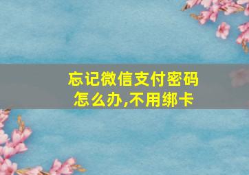 忘记微信支付密码怎么办,不用绑卡