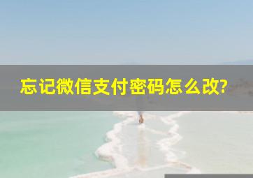 忘记微信支付密码怎么改?