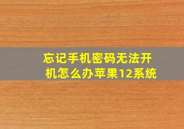 忘记手机密码无法开机怎么办苹果12系统