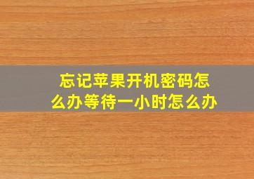 忘记苹果开机密码怎么办等待一小时怎么办