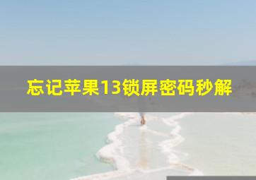 忘记苹果13锁屏密码秒解