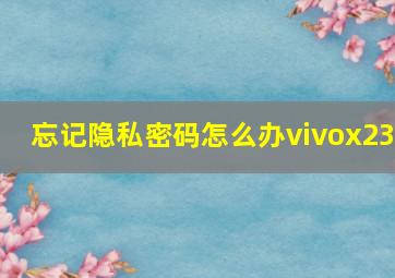 忘记隐私密码怎么办vivox23