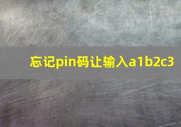 忘记pin码让输入a1b2c3