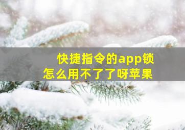 快捷指令的app锁怎么用不了了呀苹果