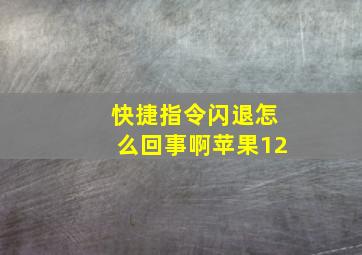 快捷指令闪退怎么回事啊苹果12