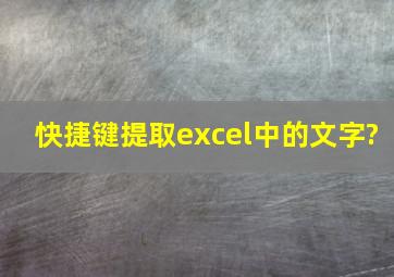 快捷键提取excel中的文字?