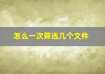 怎么一次筛选几个文件