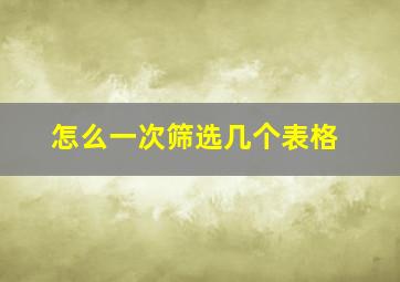 怎么一次筛选几个表格