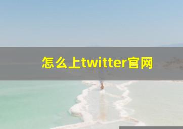 怎么上twitter官网