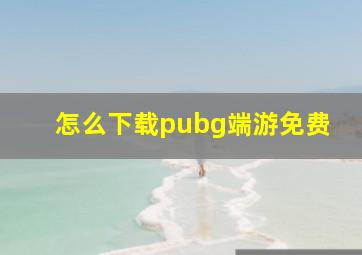 怎么下载pubg端游免费