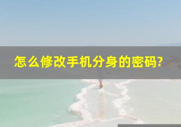 怎么修改手机分身的密码?