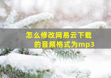 怎么修改网易云下载的音频格式为mp3