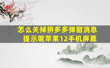 怎么关掉拼多多弹窗消息提示呢苹果12手机屏幕