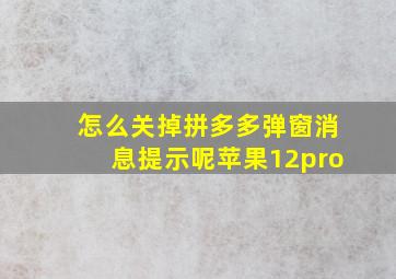 怎么关掉拼多多弹窗消息提示呢苹果12pro