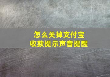 怎么关掉支付宝收款提示声音提醒