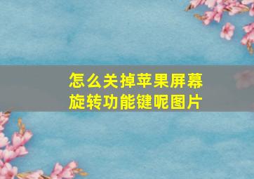 怎么关掉苹果屏幕旋转功能键呢图片